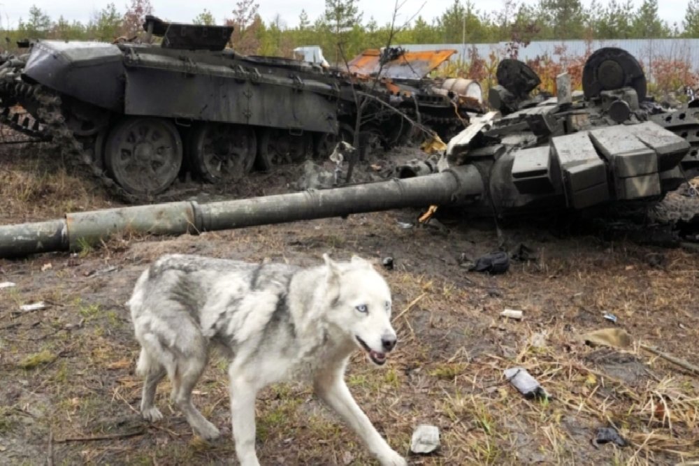 blog-1662301726Ukranian war debris1 3.jpg